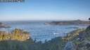 ./images/calvert/foggy-cove/20260502/foggy-cove20260502_072002M.jpg