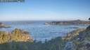 ./images/calvert/foggy-cove/20260502/foggy-cove20260502_073501M.jpg