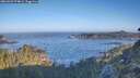 ./images/calvert/foggy-cove/20260502/foggy-cove20260502_074001M.jpg