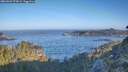 ./images/calvert/foggy-cove/20260502/foggy-cove20260502_074501M.jpg