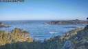 ./images/calvert/foggy-cove/20260502/foggy-cove20260502_075001M.jpg