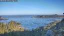 ./images/calvert/foggy-cove/20260502/foggy-cove20260502_075502M.jpg