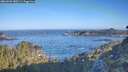 ./images/calvert/foggy-cove/20260502/foggy-cove20260502_080501M.jpg