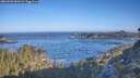 ./images/calvert/foggy-cove/20260502/foggy-cove20260502_081001M.jpg