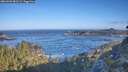 ./images/calvert/foggy-cove/20260502/foggy-cove20260502_081502M.jpg