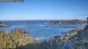 ./images/calvert/foggy-cove/20260502/foggy-cove20260502_082001M.jpg
