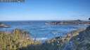 ./images/calvert/foggy-cove/20260502/foggy-cove20260502_082501M.jpg