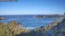 ./images/calvert/foggy-cove/20260502/foggy-cove20260502_083001M.jpg