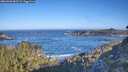 ./images/calvert/foggy-cove/20260502/foggy-cove20260502_083501M.jpg