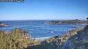 ./images/calvert/foggy-cove/20260502/foggy-cove20260502_084001M.jpg