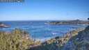 ./images/calvert/foggy-cove/20260502/foggy-cove20260502_084501M.jpg