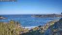 ./images/calvert/foggy-cove/20260502/foggy-cove20260502_085001M.jpg