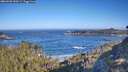 ./images/calvert/foggy-cove/20260502/foggy-cove20260502_090501M.jpg