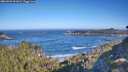 ./images/calvert/foggy-cove/20260502/foggy-cove20260502_091002M.jpg