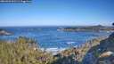 ./images/calvert/foggy-cove/20260502/foggy-cove20260502_091501M.jpg