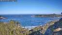 ./images/calvert/foggy-cove/20260502/foggy-cove20260502_092001M.jpg