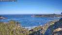 ./images/calvert/foggy-cove/20260502/foggy-cove20260502_092501M.jpg