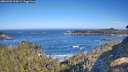 ./images/calvert/foggy-cove/20260502/foggy-cove20260502_093001M.jpg