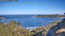 ./images/calvert/foggy-cove/20260502/foggy-cove20260502_093501M.jpg