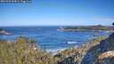 ./images/calvert/foggy-cove/20260502/foggy-cove20260502_094001M.jpg