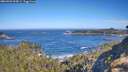 ./images/calvert/foggy-cove/20260502/foggy-cove20260502_095001M.jpg