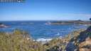 ./images/calvert/foggy-cove/20260502/foggy-cove20260502_095501M.jpg