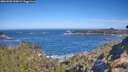 ./images/calvert/foggy-cove/20260502/foggy-cove20260502_100002M.jpg