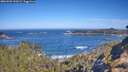 ./images/calvert/foggy-cove/20260502/foggy-cove20260502_100501M.jpg