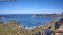 ./images/calvert/foggy-cove/20260502/foggy-cove20260502_101001M.jpg