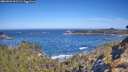 ./images/calvert/foggy-cove/20260502/foggy-cove20260502_101501M.jpg