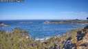 ./images/calvert/foggy-cove/20260502/foggy-cove20260502_102001M.jpg