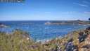 ./images/calvert/foggy-cove/20260502/foggy-cove20260502_102501M.jpg