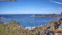 ./images/calvert/foggy-cove/20260502/foggy-cove20260502_103001M.jpg