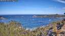 ./images/calvert/foggy-cove/20260502/foggy-cove20260502_103501M.jpg
