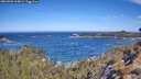 ./images/calvert/foggy-cove/20260502/foggy-cove20260502_104001M.jpg