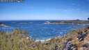 ./images/calvert/foggy-cove/20260502/foggy-cove20260502_104501M.jpg