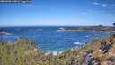 ./images/calvert/foggy-cove/20260502/foggy-cove20260502_105002M.jpg