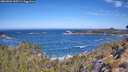 ./images/calvert/foggy-cove/20260502/foggy-cove20260502_105501M.jpg