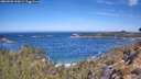 ./images/calvert/foggy-cove/20260502/foggy-cove20260502_110001M.jpg
