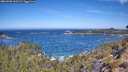 ./images/calvert/foggy-cove/20260502/foggy-cove20260502_110501M.jpg