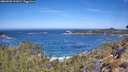 ./images/calvert/foggy-cove/20260502/foggy-cove20260502_111001M.jpg