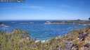 ./images/calvert/foggy-cove/20260502/foggy-cove20260502_111501M.jpg