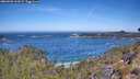 ./images/calvert/foggy-cove/20260502/foggy-cove20260502_112001M.jpg