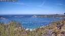 ./images/calvert/foggy-cove/20260502/foggy-cove20260502_112501M.jpg