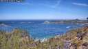 ./images/calvert/foggy-cove/20260502/foggy-cove20260502_113002M.jpg