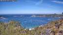 ./images/calvert/foggy-cove/20260502/foggy-cove20260502_113501M.jpg