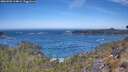 ./images/calvert/foggy-cove/20260502/foggy-cove20260502_114001M.jpg