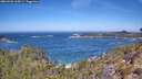 ./images/calvert/foggy-cove/20260502/foggy-cove20260502_114501M.jpg