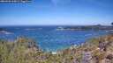 ./images/calvert/foggy-cove/20260502/foggy-cove20260502_115002M.jpg