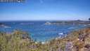 ./images/calvert/foggy-cove/20260502/foggy-cove20260502_115501M.jpg